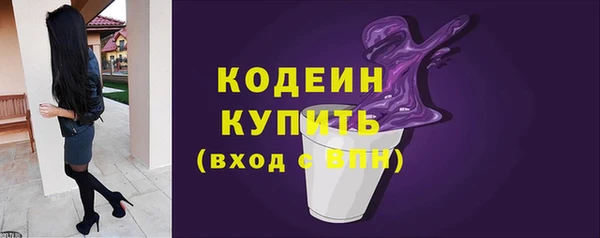 молекула духа Медвежьегорск