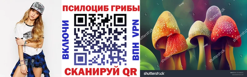 Галлюциногенные грибы GOLDEN TEACHER  площадка Telegram  Нязепетровск 